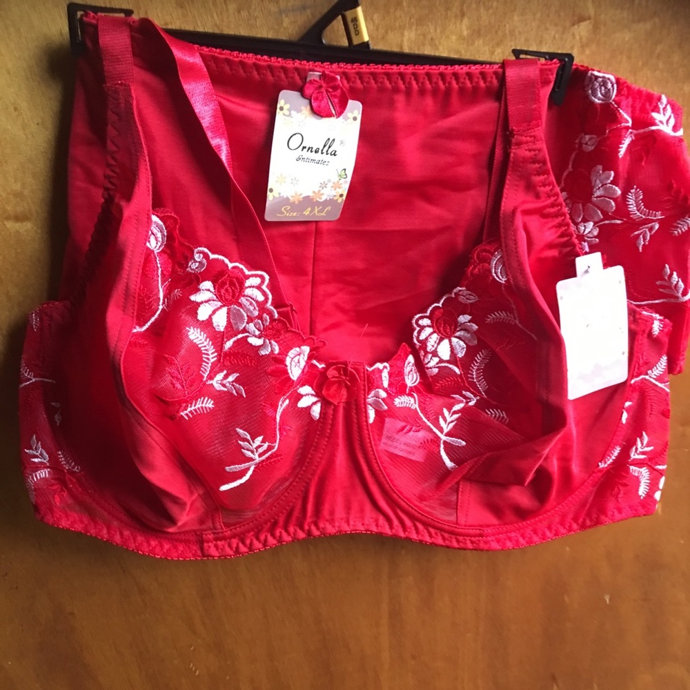 NWT Ornella Bra And Panty Set